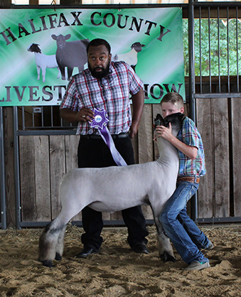 Beatty Club Lambs Winners