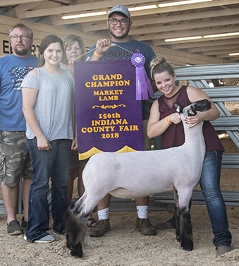 Beatty Club Lambs Winners