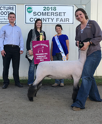 Beatty Club Lamb Winners Beatty Club Lambs Winners