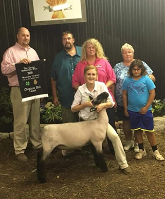 Beatty Club Lambs Winners