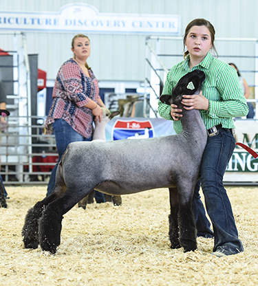Beatty Club Lamb Winners Beatty Club Lambs Winners