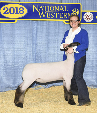 Beatty Club Lamb Winners Beatty Club Lambs Winners