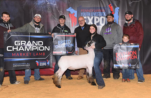 Beatty Club Lambs Winners