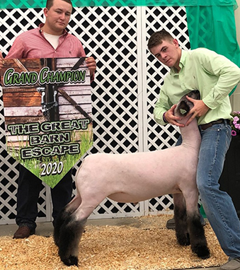 Beatty Club Lambs Winners