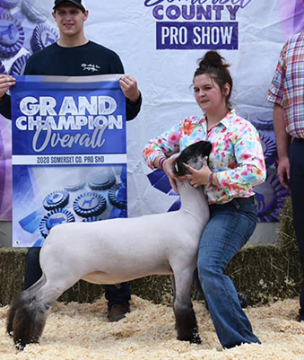 Beatty Club Lambs Winners