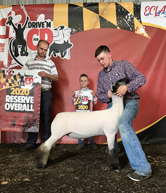 Beatty Club Lambs Winners