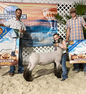 Beatty Club Lambs Winners