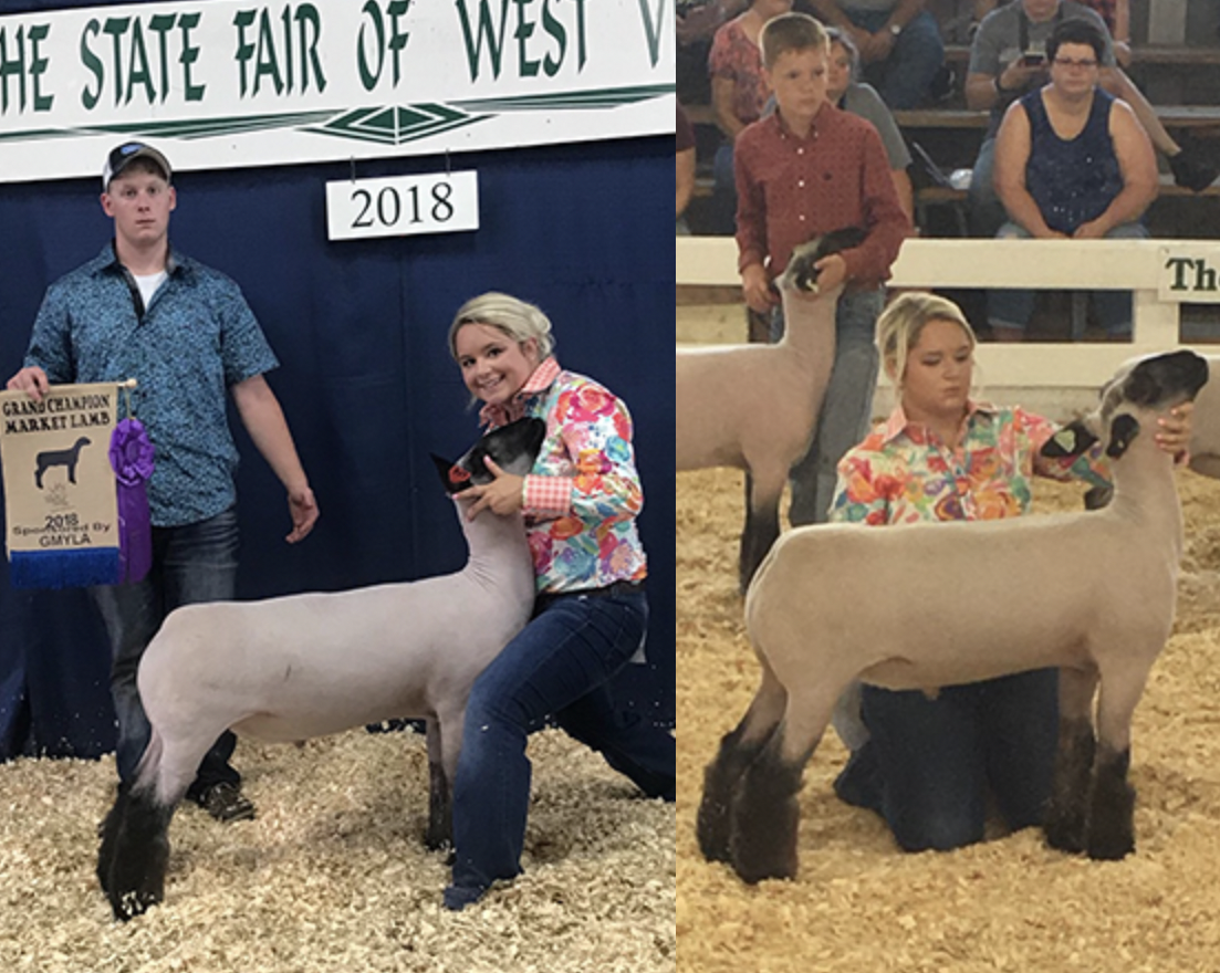 Beatty Club Lambs Winners