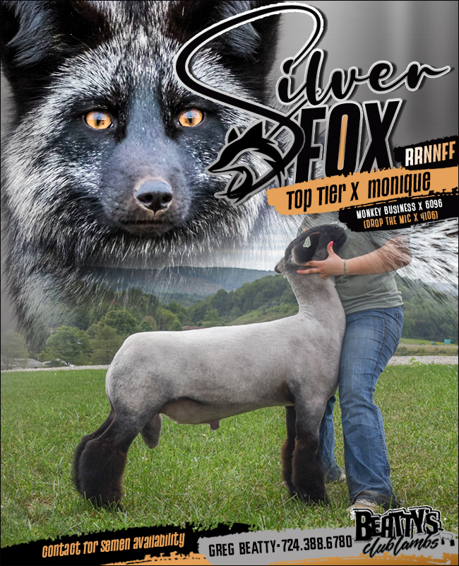 Silver Fox