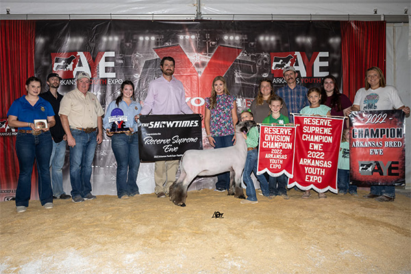 pinoak-topgun-crangle-arkyouthexpo-ewe Reserve Supreme Ewe<br />
2022 Arkansas Youth Expo