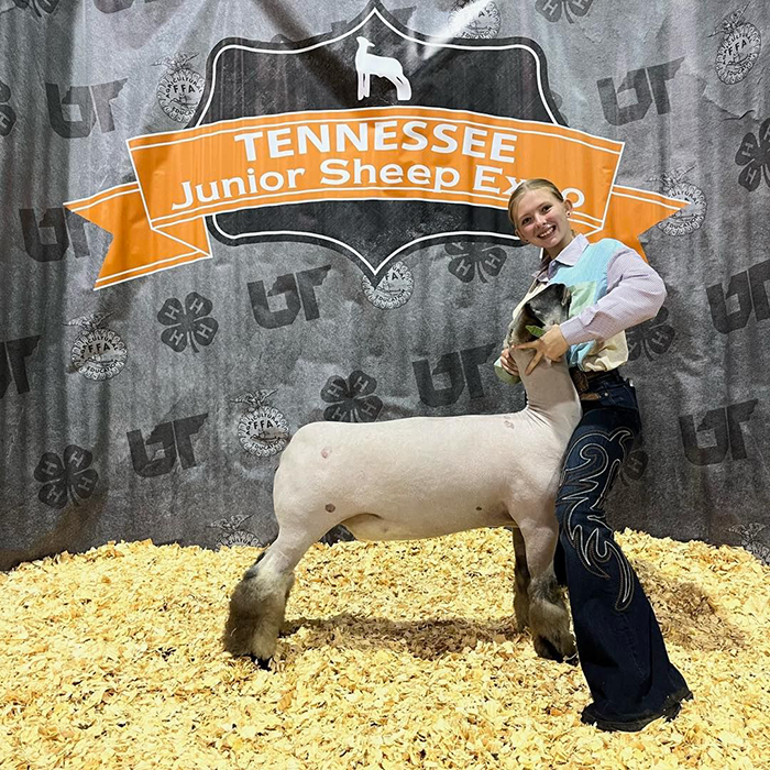 5th Overall BFX Ewe Lamb 2023 Tennessee Junior Sheep Expo 5th Overall BFX Ewe Lamb<br />
2023 Tennessee Junior Sheep Expo