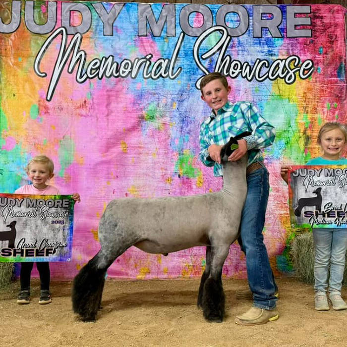 Champion Market Lamb 2023 Judy Moore Memorial Showcase - Ring A&B Champion Market Lamb<br />
2023 Judy Moore Memorial Showcase - Ring A&B