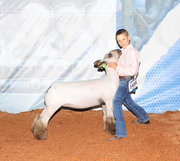 Class Winner, Class 4 Wether Dam 2023 American Royal Class Winner, Class 4 Wether Dam<br />
2023 American Royal