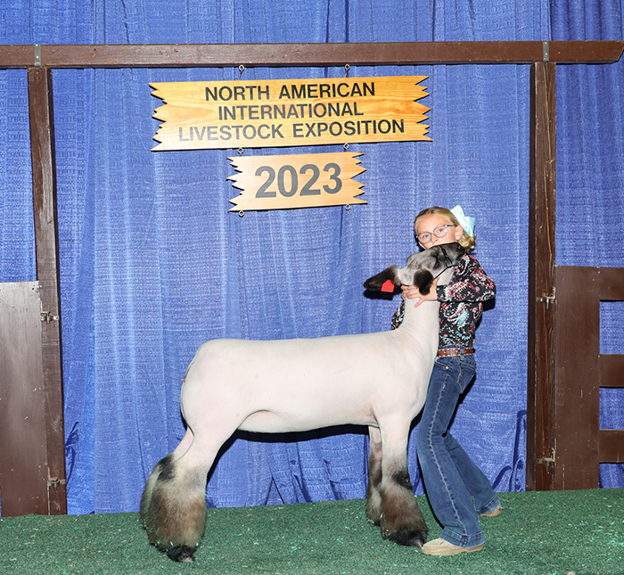 Class 10 BFX Commercial Ewe Winner 2023 NAILE Class 10 BFX Commercial Ewe Winner<br />
2023 NAILE