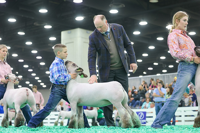 Class Winner 2023 NAILE Class Winner 2023 NAILE