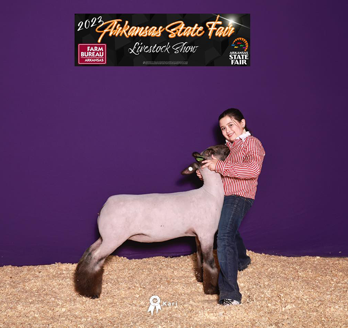 Reserve Champion BFX Wether Dam 2023 Arkansas State Fair Reserve Champion BFX Wether Dam<br />
2023 Arkansas State Fair