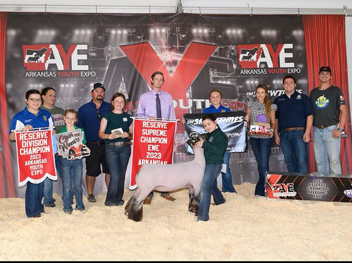 Reserve Supreme Ewe 2023 Arkansas Youth Expo Reserve Supreme Ewe<br />
2023 Arkansas Youth Expo