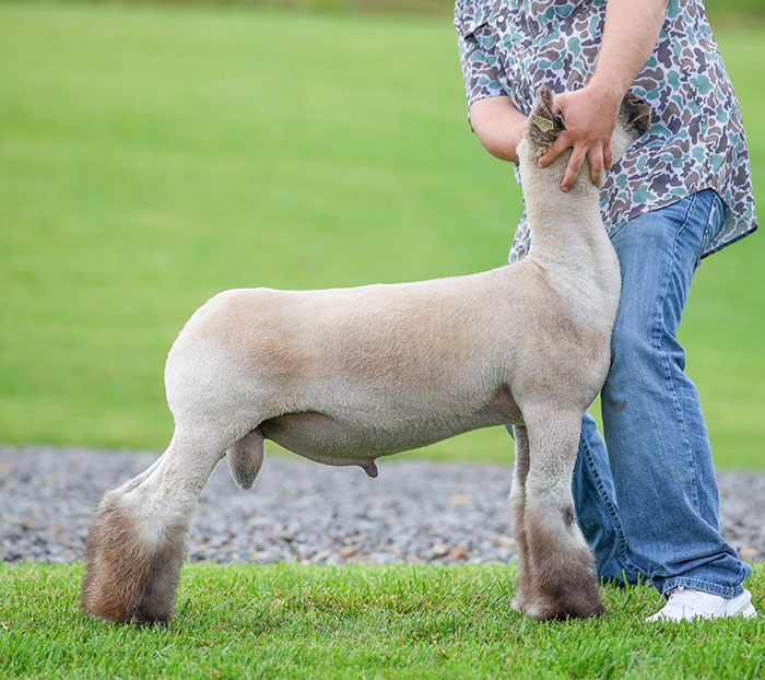 Unfiltered Unfiltered