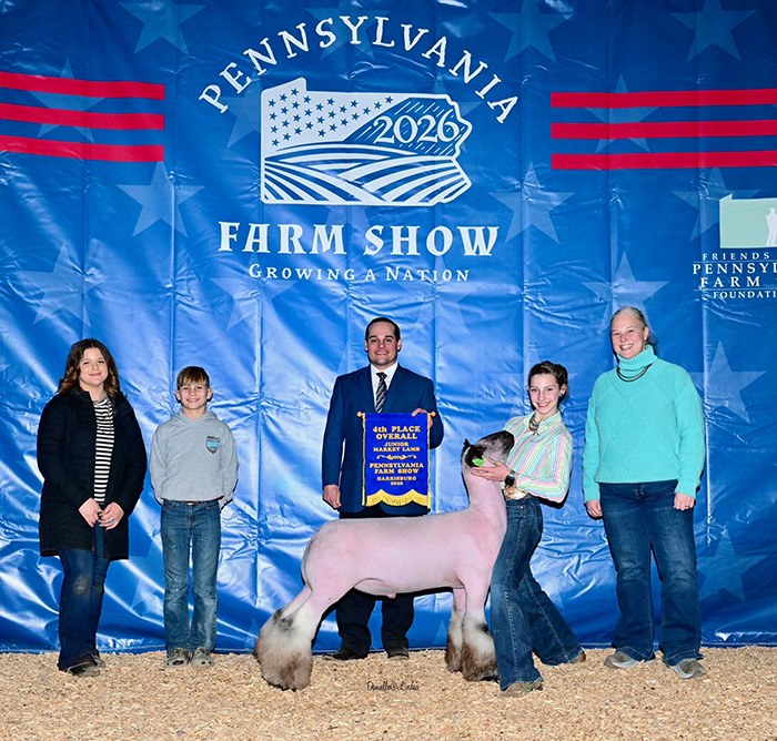 4th Overall Market Lamb BFX Champion Division 4 2026 Pennsylvania Farm Show 4th Overall Market Lamb<br />
BFX Champion Division 4<br />
2026 Pennsylvania Farm Show