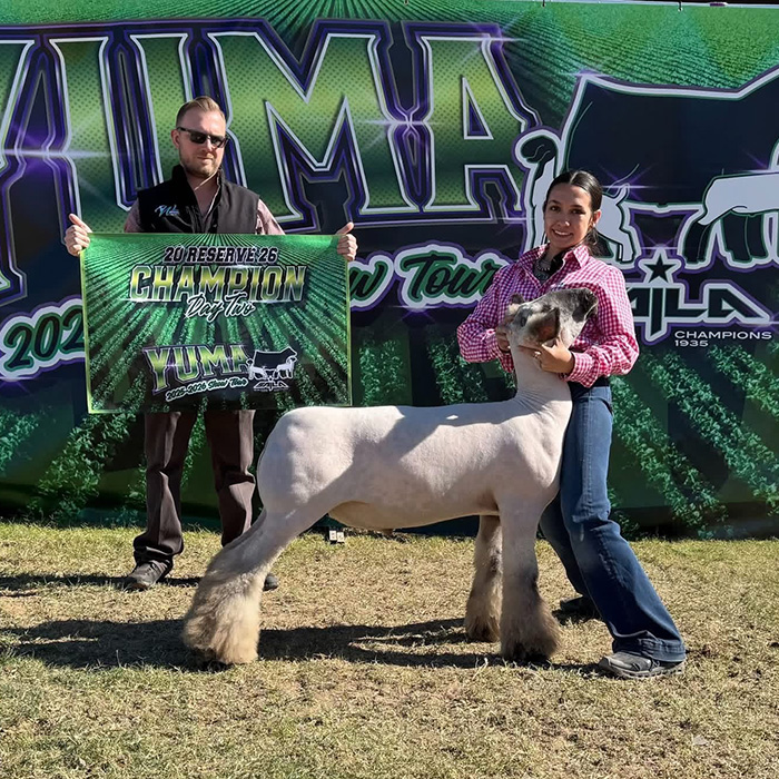 Reserve Grand Champion Market Lamb, Day 2, 2025 - 2026 Yuma Show Tour Reserve Grand Champion Market Lamb, Day 2, 2025 - 2026 Yuma Show Tour<br />