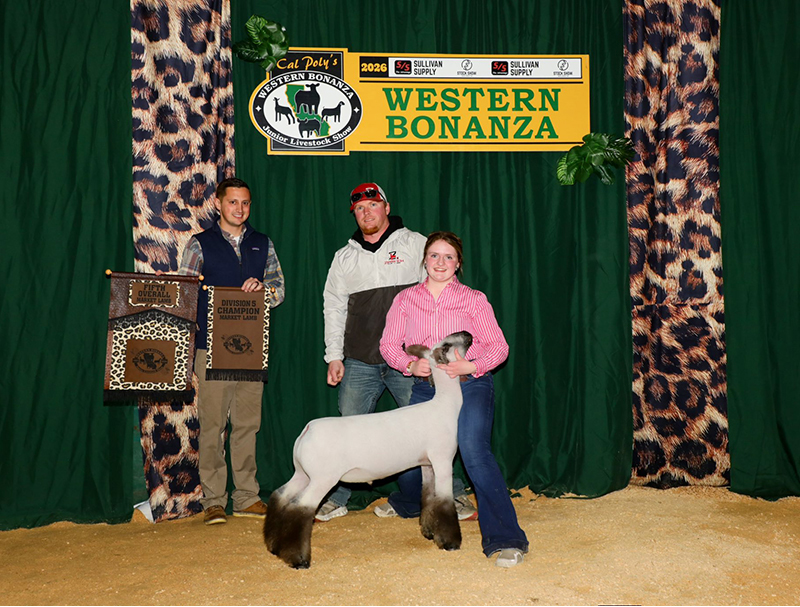 5th Overall Market Lamb, Champion Lightweight Market Lamb, 2026 Western Bonanza - Ring A 5th Overall Market Lamb, Champion Lightweight Market Lamb, 2026 Western Bonanza - Ring A