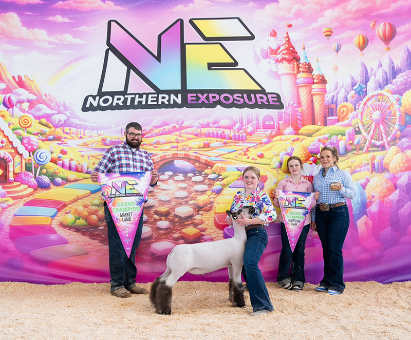 Supreme Champion Market Lamb, 2026 Northern Exposure - Ring C Supreme Champion Market Lamb, 2026 Northern Exposure - Ring C